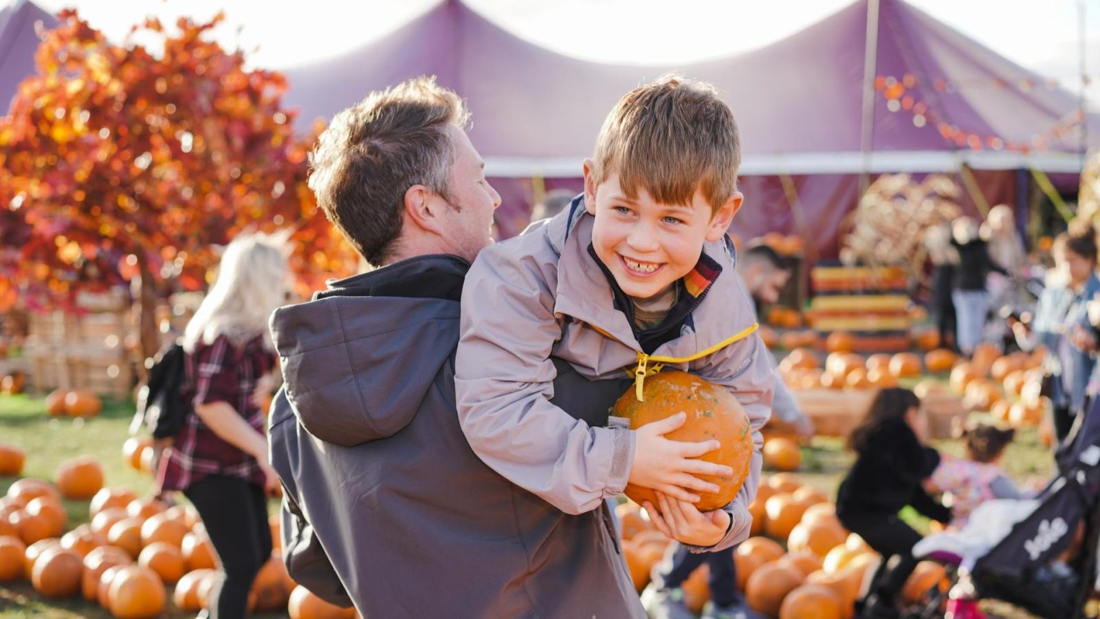 Pumpkin Picking at Marsh Farm in Essex