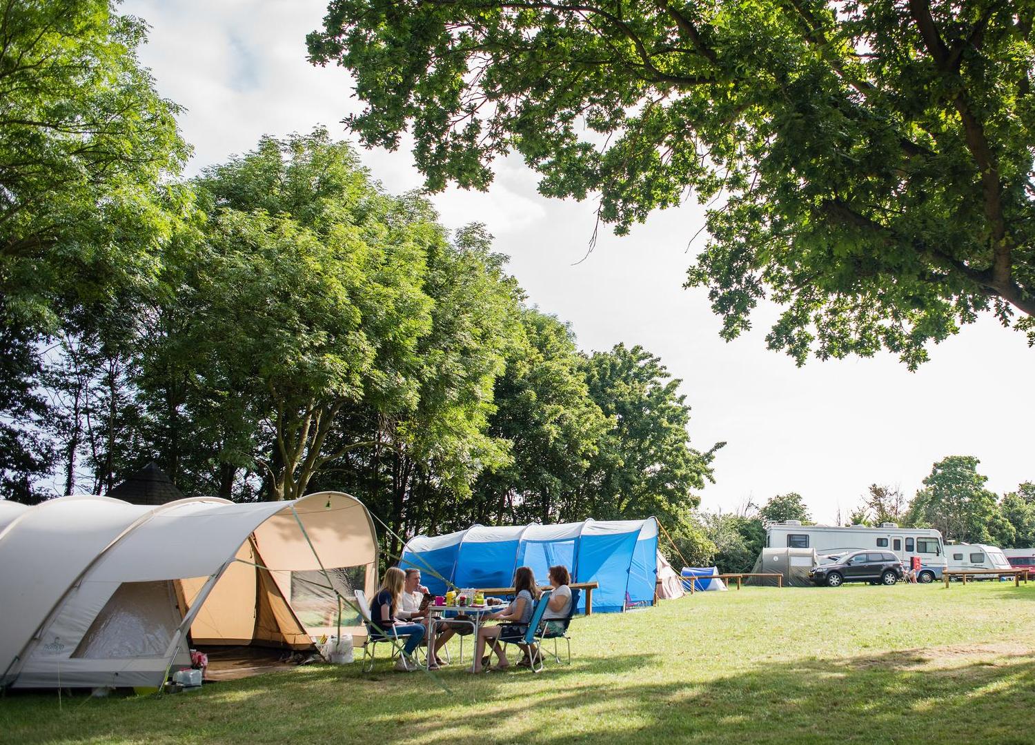 Large beige and blue tents pitched on a grass pitch with family sat outside one of the tents