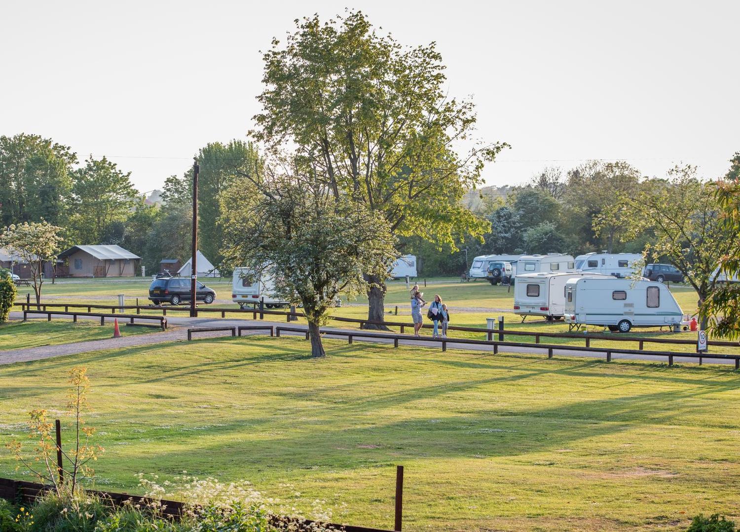 Camping field showing green space and trees